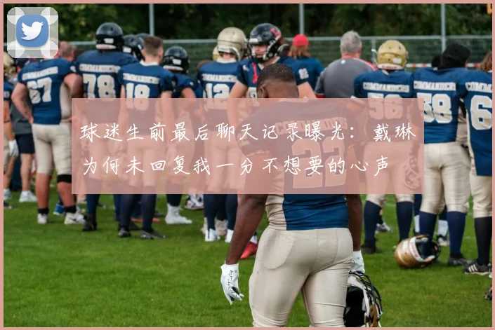 球迷生前最后聊天记录曝光：戴琳为何未回复我一分不想要的心声